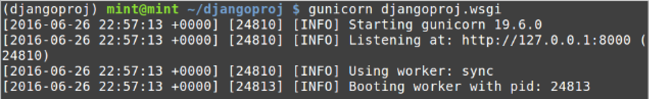 Result of running gunicorn djangoproj.wsgi on the command line.