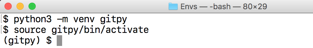 Create and activate the Python virtual environment.